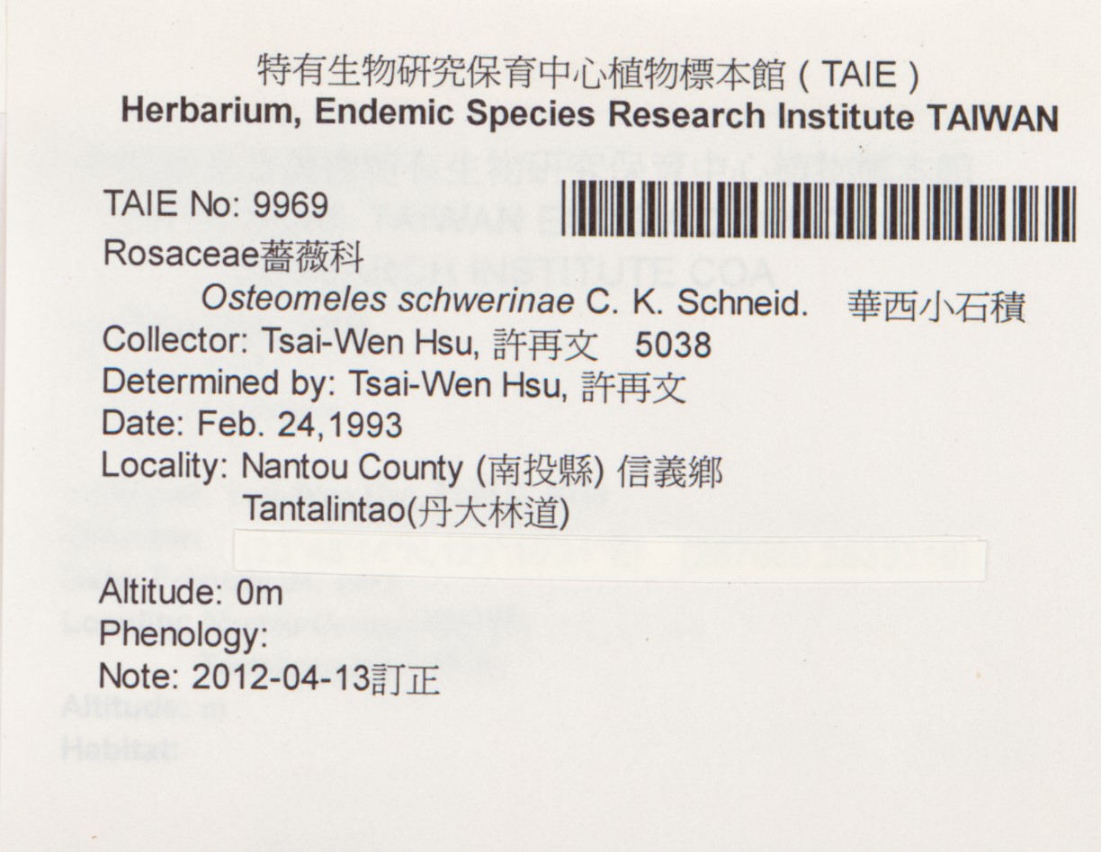 TAIE